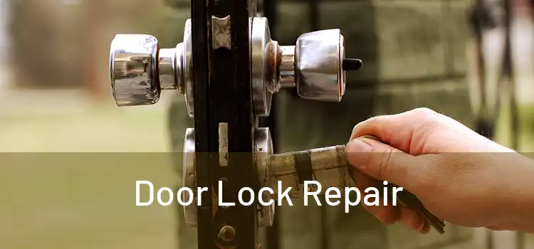 Door Lock Repair